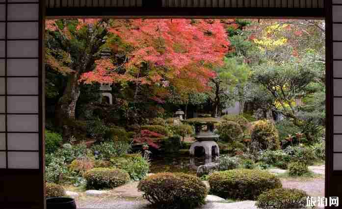 学生能单独办日本签证吗 老人能单独办日本签证吗 学生能单独办日本签证吗 老人能单独办日本签证吗
