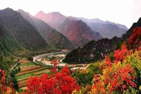 陜西秦嶺紅葉最佳觀賞時間 附2019陜西秦嶺紅葉節