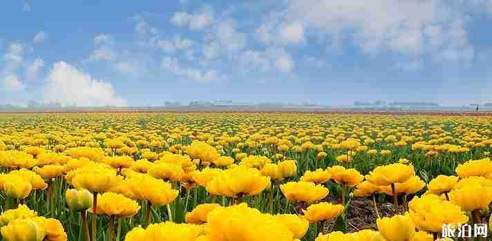 办理荷兰个人旅游签证流程+资料 办理荷兰个人旅游签证流程+资料