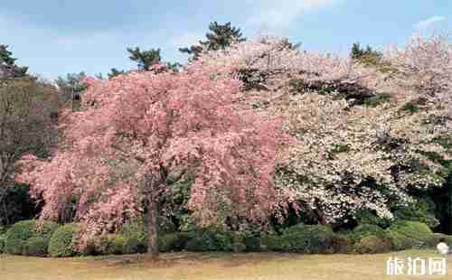 韩国个人旅游签证办理材料2018