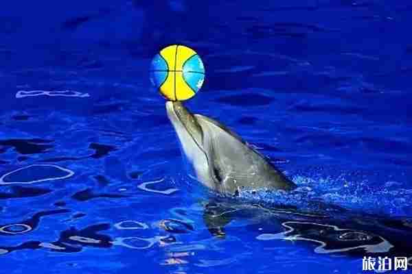 10月南寧特惠景區(qū)門(mén)票價(jià)格+活動(dòng)時(shí)間 10月南寧特惠景區(qū)門(mén)票價(jià)格+活動(dòng)時(shí)間