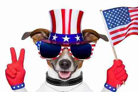 申请申请美国C1签证的j基本要求是什么