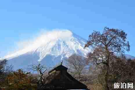 2019日本最新放宽签证政策介绍 2019日本旅游多次签证介绍