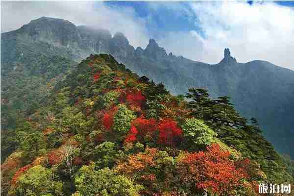 貴州楓葉旅游景點攻略 貴州楓葉旅游景點攻略