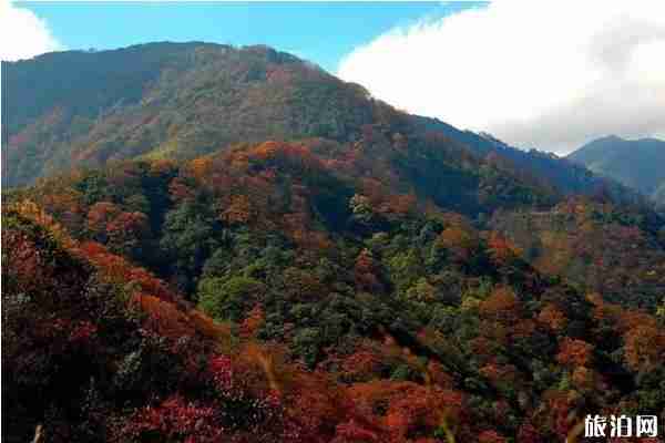 貴州楓葉旅游景點攻略 貴州楓葉旅游景點攻略