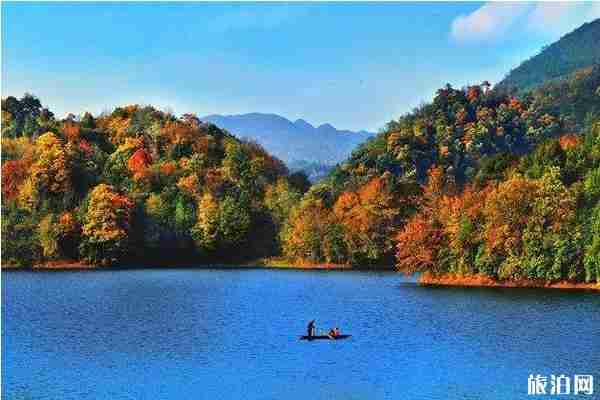 貴州楓葉旅游景點攻略 貴州楓葉旅游景點攻略