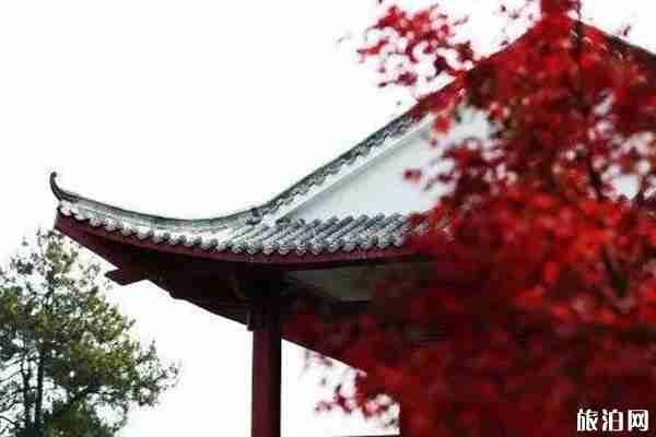 貴州楓葉旅游景點攻略 貴州楓葉旅游景點攻略