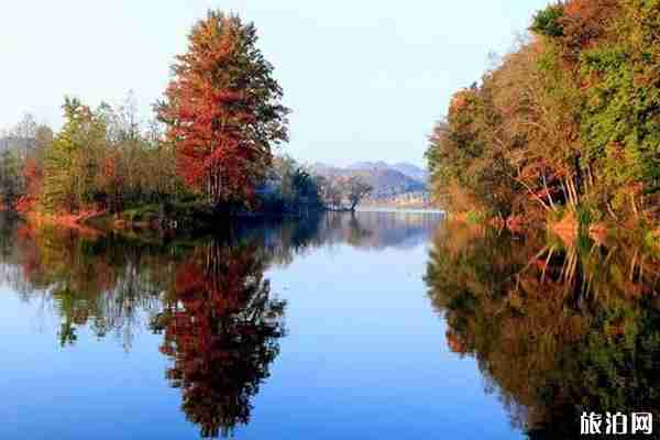 貴州楓葉旅游景點攻略 貴州楓葉旅游景點攻略