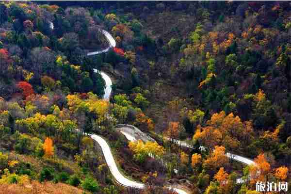 紫柏山景區(qū)游玩+纜車+秦嶺留壩紅葉節(jié)10月25日開啟 紫柏山景區(qū)游玩+纜車+秦嶺留壩紅葉節(jié)10月25日開啟