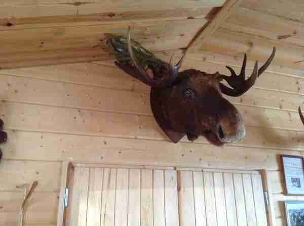 芬兰旅游买什么 芬兰旅游购物攻略2017