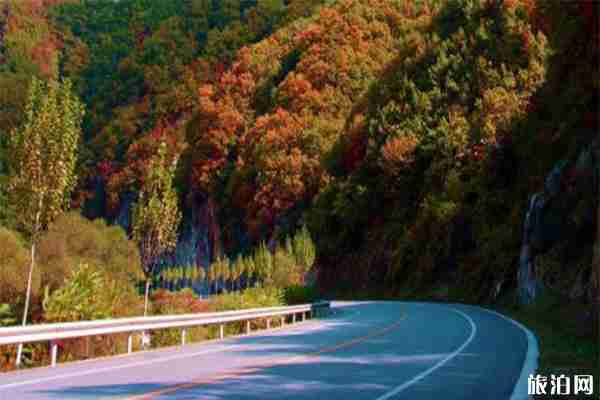 丹東賞楓葉什么時候最好 丹東哪里適合賞秋 丹東賞楓葉什么時候最好 丹東哪里適合賞秋