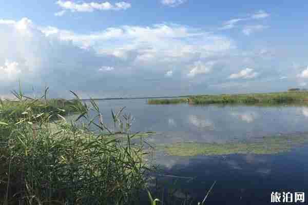 扎龍放鶴時間 扎龍自然保護(hù)區(qū)門票+交通+介紹