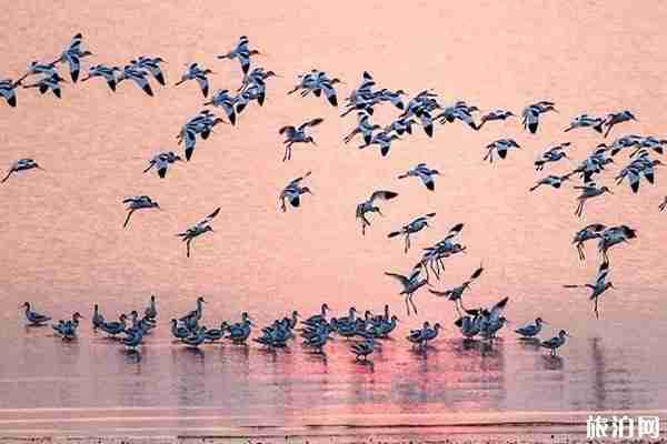 鄱陽湖干旱水底古橋介紹 鄱陽湖秋季旅游攻略