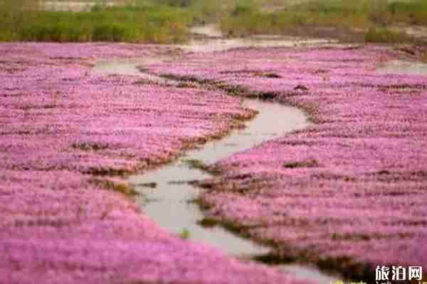 鄱陽湖干旱水底古橋介紹 鄱陽湖秋季旅游攻略