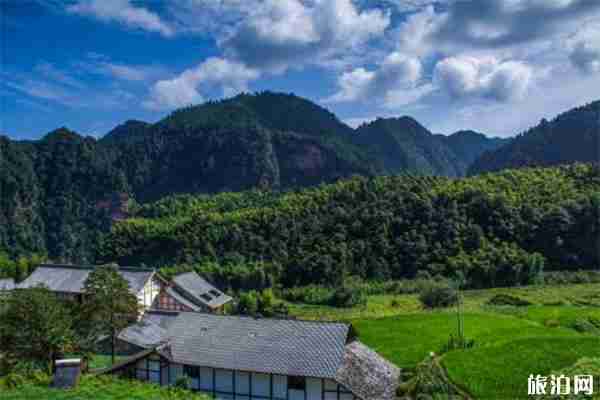 瀘州市區(qū)有什么好玩的