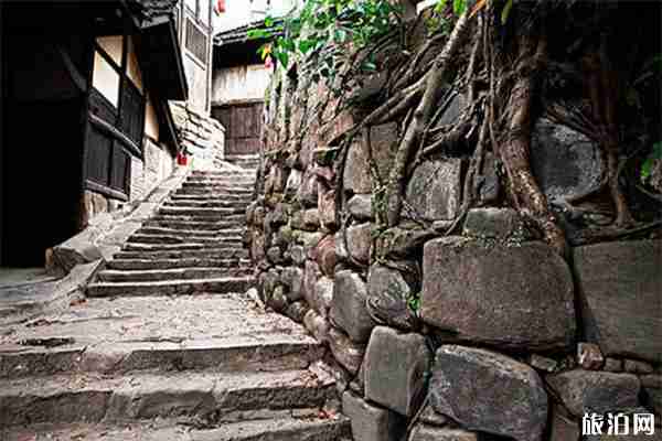 瀘州市區(qū)有什么好玩的