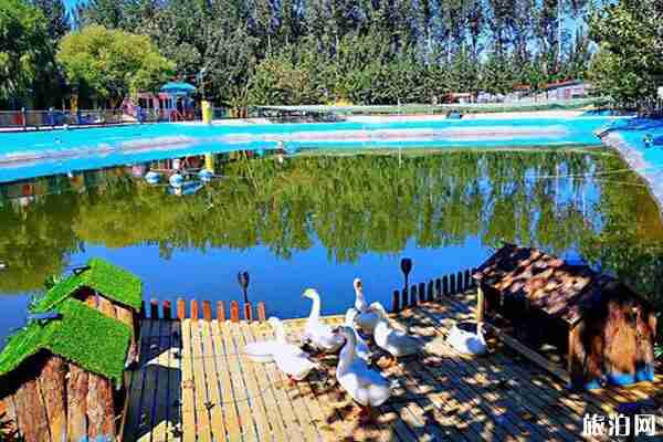 順義愛寵小鎮在哪 順義愛寵小鎮可以帶寵物嗎 順義愛寵小鎮在哪 順義愛寵小鎮可以帶寵物嗎