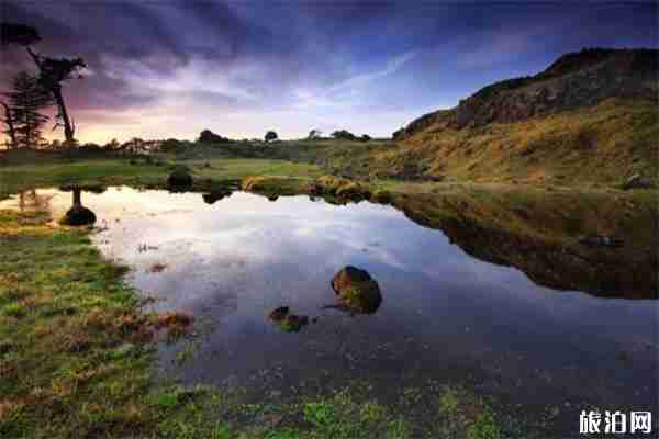 新西兰旅行入境认证ETA延期最新消息