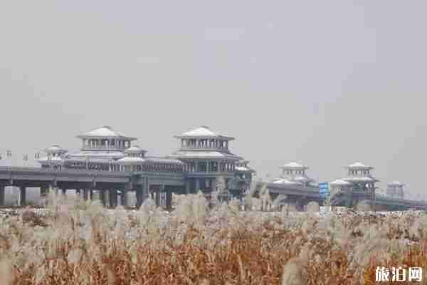 陜西哪里蘆葦最多 陜西哪里蘆葦蕩最漂亮