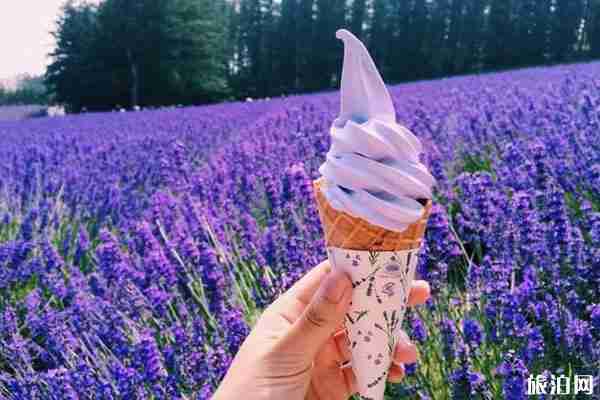 日本富田農場需要門票嗎 富田農場怎么樣