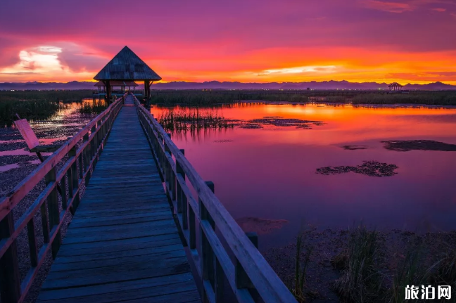 2020新增免签国家 新增签证新规