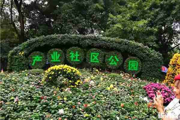 2019年成都菊花展什么時候開始+舉辦地點+活動介紹