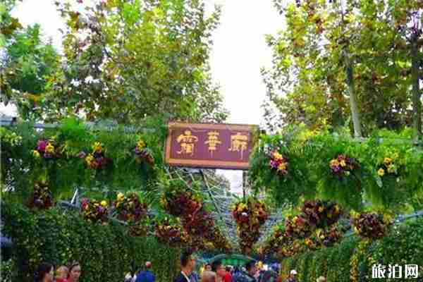 2019年成都菊花展什么時候開始+舉辦地點+活動介紹