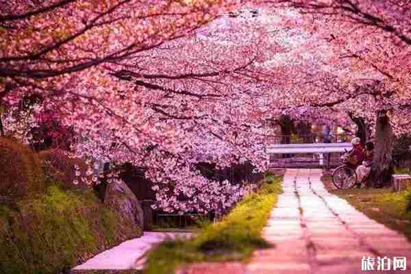 2020年日本有什么重大活動舉辦 2020年日本有什么重大活動舉辦