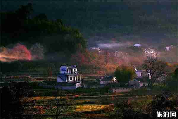 屯溪至黃山風景區旅游大巴幾點發車 運營時間+大巴站點 屯溪至黃山風景區旅游大巴幾點發車 運營時間+大巴站點