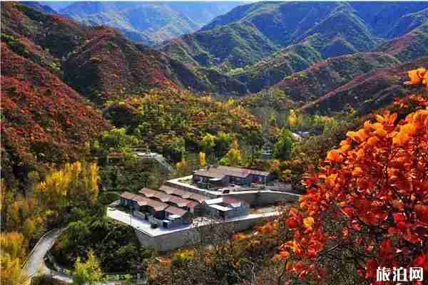 2019門頭溝西達摩村紅葉節門票+時間+地點+介紹 2019門頭溝西達摩村紅葉節門票+時間+地點+介紹