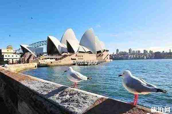 澳大利亞在線簽證查詢系統怎么查詢 附網址-申請指南