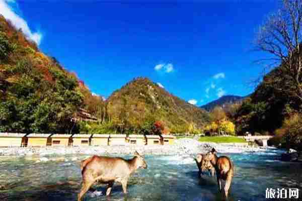 喇叭河一日游玩攻略 喇叭河紅葉觀賞期