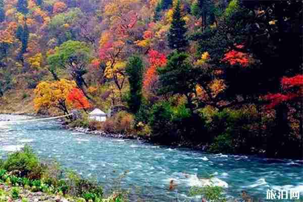 雅安二郎山喇叭河景區(qū)門票+觀光車費(fèi)用+住宿