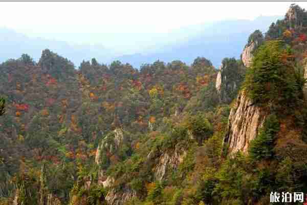 老君山紅葉什么時候最美 老君山紅葉觀賞地點推薦 老君山紅葉什么時候最美 老君山紅葉觀賞地點推薦