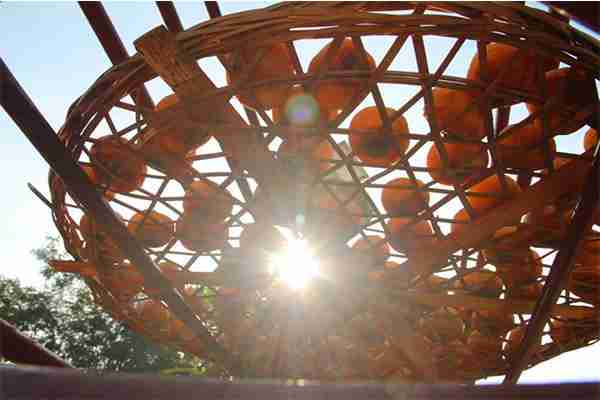 2019恭城月柿節(jié)10月25日開啟 附活動內容+活動安排表 2019恭城月柿節(jié)10月25日開啟 附活動內容+活動安排表