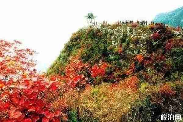 山西看紅葉的最好地方推薦