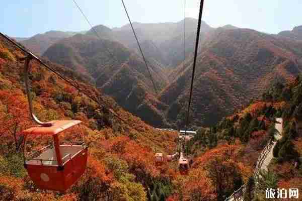 山西看紅葉的最好地方推薦