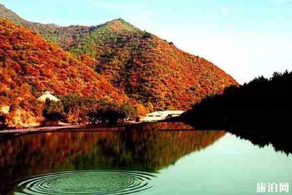 山西看紅葉的最好地方推薦