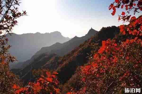 山西看紅葉的最好地方推薦