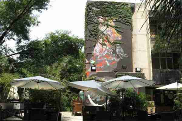 深圳南山區免費景點有哪些 深圳南山區免費景點有哪些