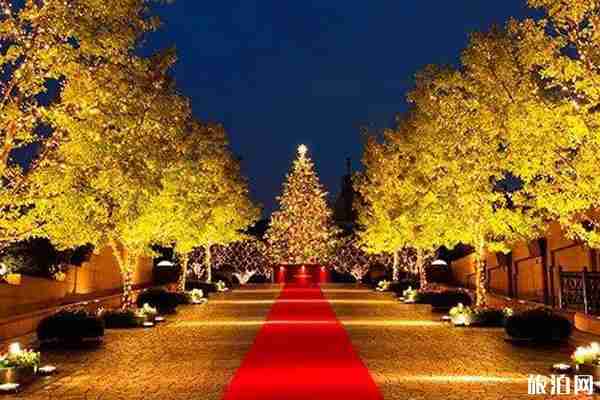 2019日本東京燈展時(shí)間+地點(diǎn)+介紹 2019日本東京燈展攻略整理