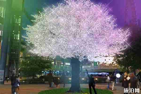 2019日本東京燈展時(shí)間+地點(diǎn)+介紹 2019日本東京燈展攻略整理