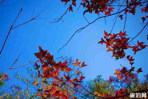 廣東秋天旅游好去處推薦 廣東秋天旅游好去處推薦