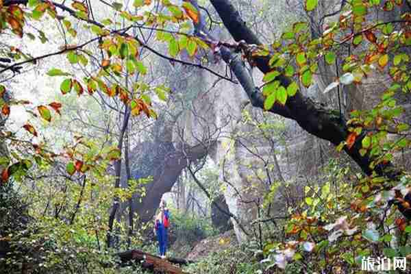 南京溧水賞秋的好地方哪些 南京溧水秋天適合玩的地方推薦 南京溧水賞秋的好地方哪些 南京溧水秋天適合玩的地方推薦