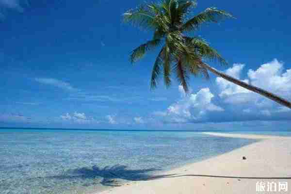 怎么样去三亚划算 三亚旅游交通指南 怎么样去三亚划算 三亚旅游交通指南