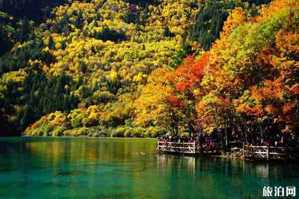 九寨沟秋天什么时候最美 九寨沟枫叶什么时候红