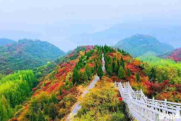 洛阳红叶去哪里看+门票优惠政策