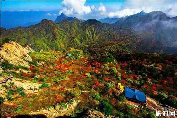 洛阳红叶去哪里看+门票优惠政策