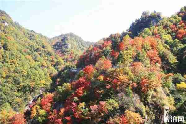 洛阳红叶去哪里看+门票优惠政策