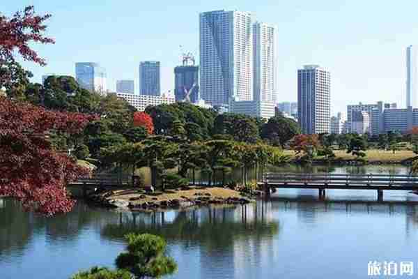 日本滨离宫恩赐庭园红叶观赏攻略